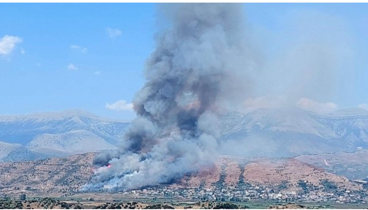 Fire at Finiq National Archaeological Park causes no damage to key monuments