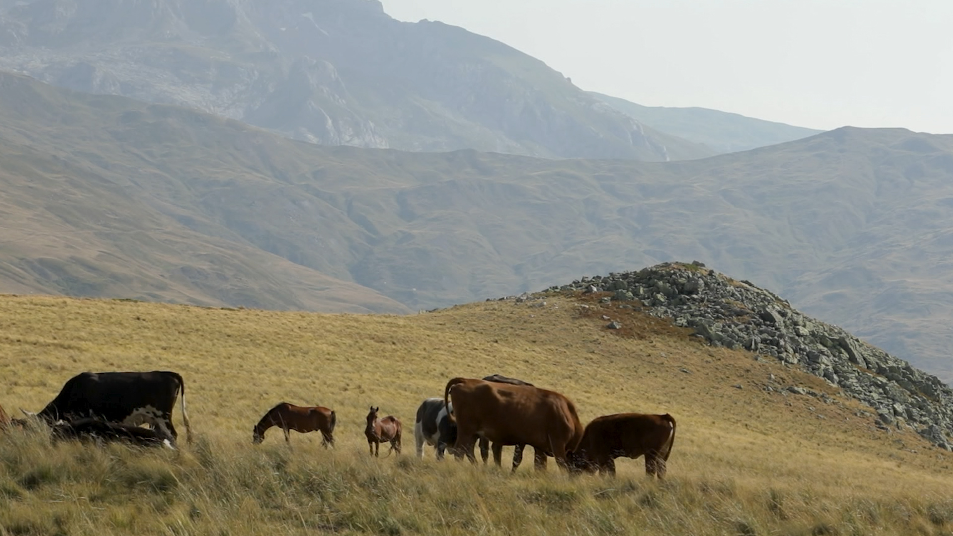 The Path of Colors: an unforgettable adventure through the mountains