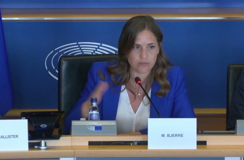 Albania to open remaining EU negotiation chapters soon, says Danish minister