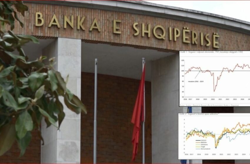 Albania’s non-performing loans hit record low in June 2025