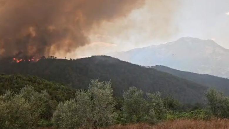 Wildfires rage across Albania; one dead in Gramsh as evacuations ordered