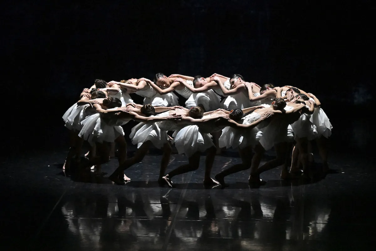 International Dance Festival by Angelin Preljocaj returns to Tirana with artists from across Europe
