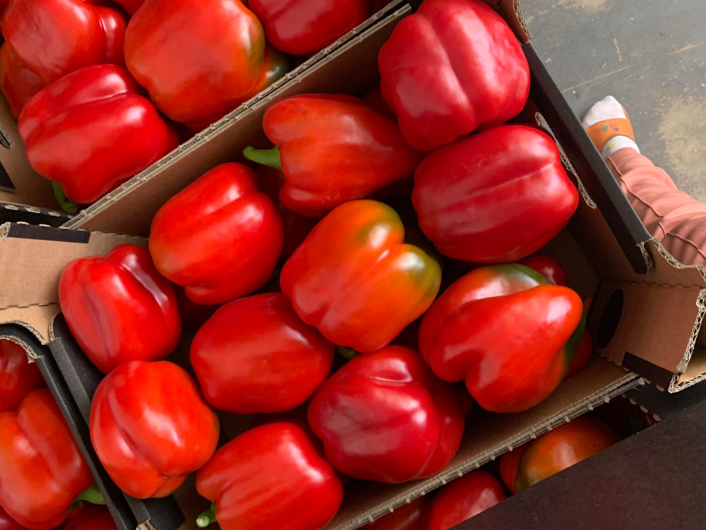 Slovenia pulls Albanian red peppers from market over pesticide levels